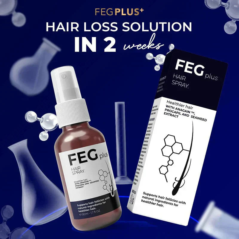 FEG Plus Hair Spray (BUY 1 GET 1 FREE)